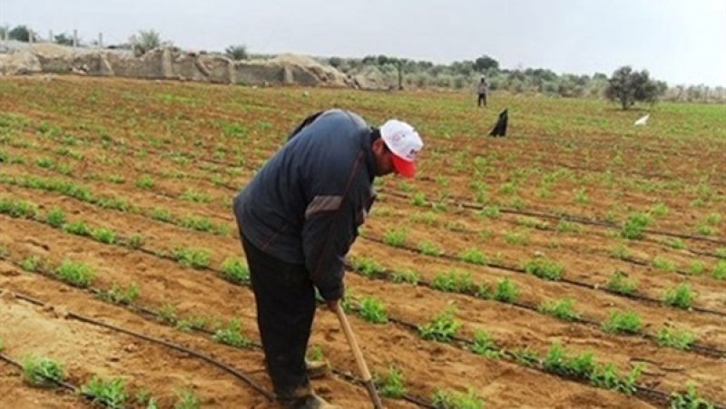 «الريف المصري»: شروط جديدة للحصول علي أراضي بالمليون ونصف فدان