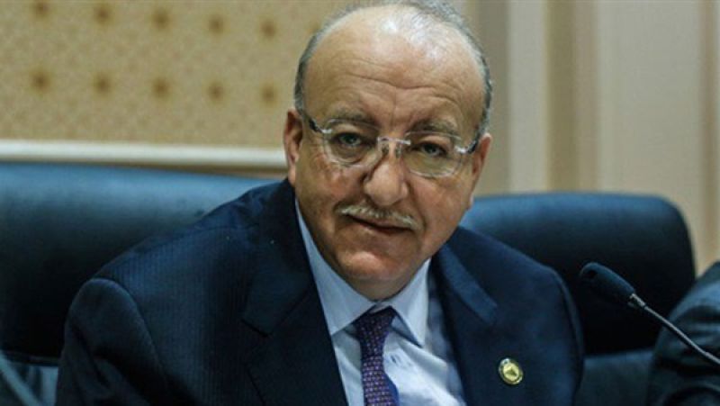 نائب برلمانى  يدعو لتكاتف قطاع المقاولات المصرية لتنمية سيناء