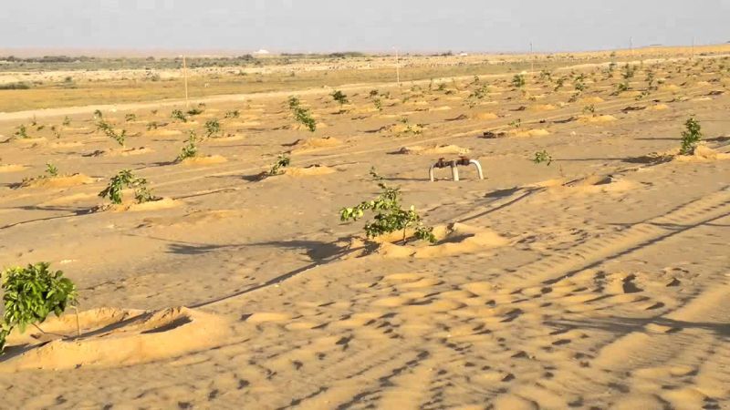 «الريف المصري» يوقع عقود تخصيص ارض لشركة«فى.آى.بى أجرى للاستصلاح» غرب المنيا