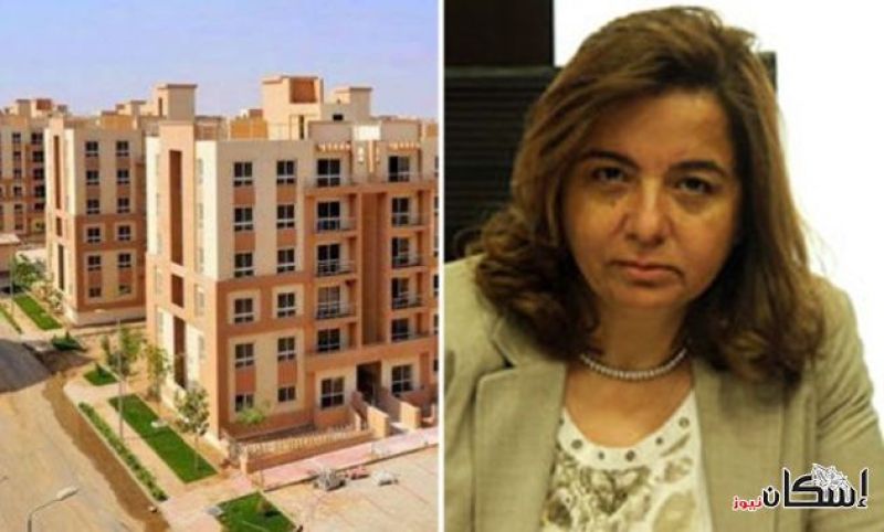 مي عبد الحميد: إعداد دراسة متكاملة مع «المركزي للتعبئة» عن الطلب على الإسكان في مصر