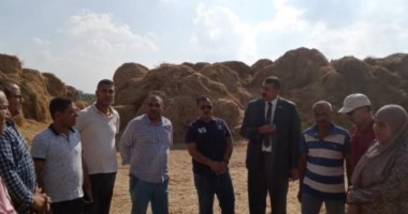”البيئة”: مواجهة حرق قش الأرز بكفر الشيخ واستمرار جمع وكبس القش
