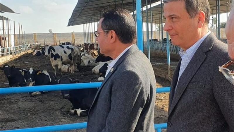 فاروق : البنك الزراعي يوفر كل مقومات النجاح لتمويل وتوزيع رؤوس الأبقار الحلاب
