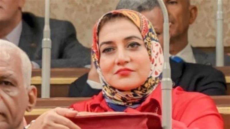 برلمانية: تلقي وائل الدحدوح العلاج بمصر موقف إنساني يعكس دور الدولة الداعم لفلسطين
