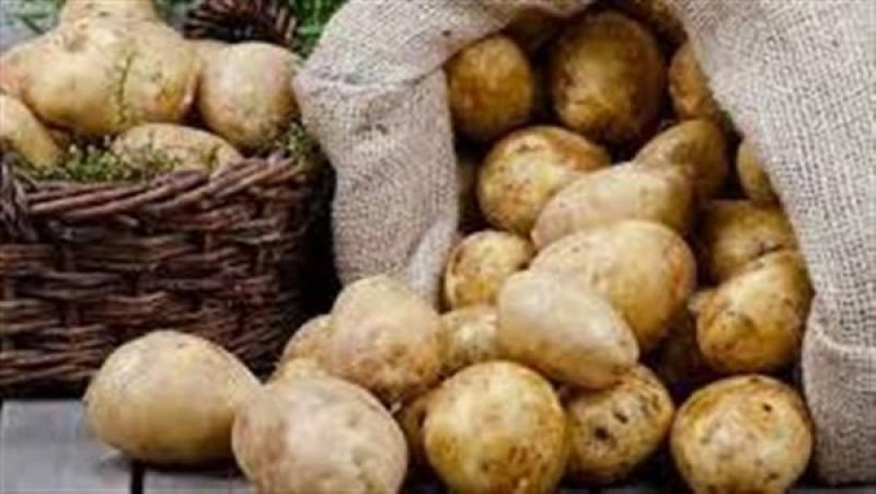 خلال الأسبوع الماضي.. البطاطس تتصدر قائمة صادرات الخضراوات والموالح
