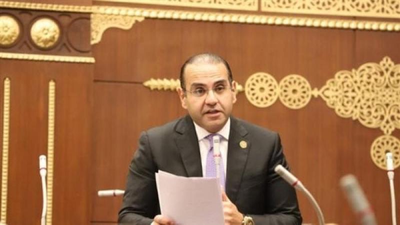 محمد المنزلاوي، عضو مجلس الشيوخ
