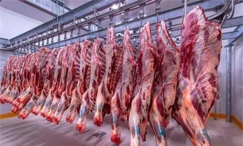 استقرار أسعار اللحوم اليوم الخميس.. الكندوز بـ 370 جنيها