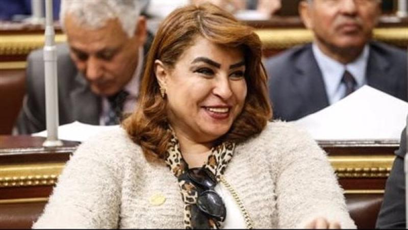 النائبة غادة عجمى ، عضو لجنة العلاقات الخارجية بمجلس النواب