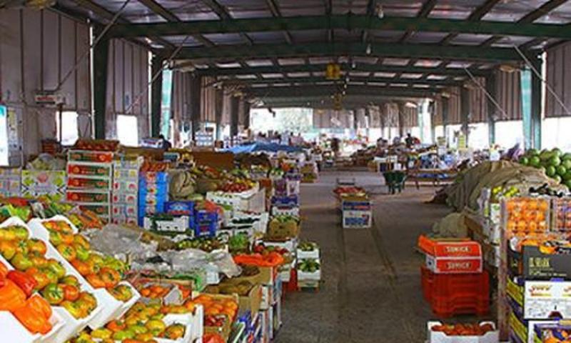 أسعار الخضروات والفاكهة اليوم الأربعاء 17 أبريل 2024.. البصل بـ26 جنيها