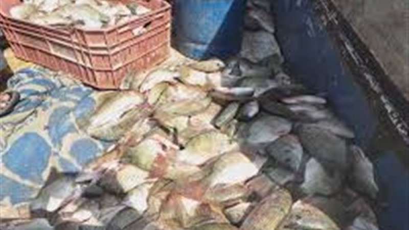 الداخلية: ضبط 2089 قضية صيد سمك غير قانوني ببحيرة البرلس