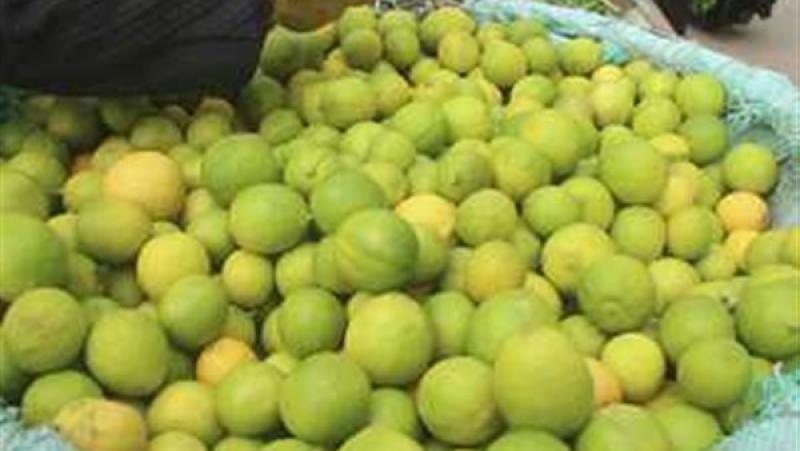 ارتفاع أسعار الليمون والبصل بالأسواق بعد إقبال المواطنين على شراء الفسيخ والرنجة