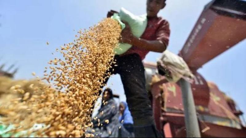 عاجل| انخفاض جديد فى أسعار الحبوب والبقوليات فى الأسواق اليوم 12 مايو 2024