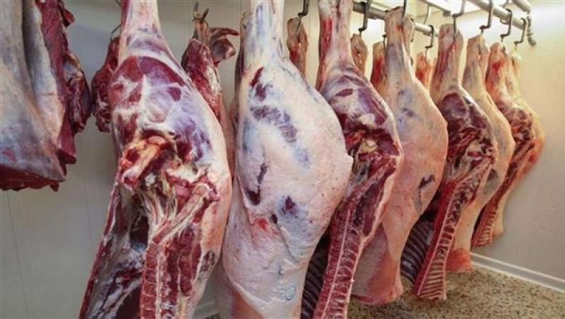 أسعار اللحوم بالأسواق اليوم الإثنين 20-5-2024