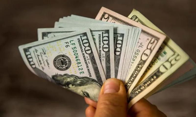 استقرار سعر الدولار الأمريكي أمام الجنيه المصري اليوم